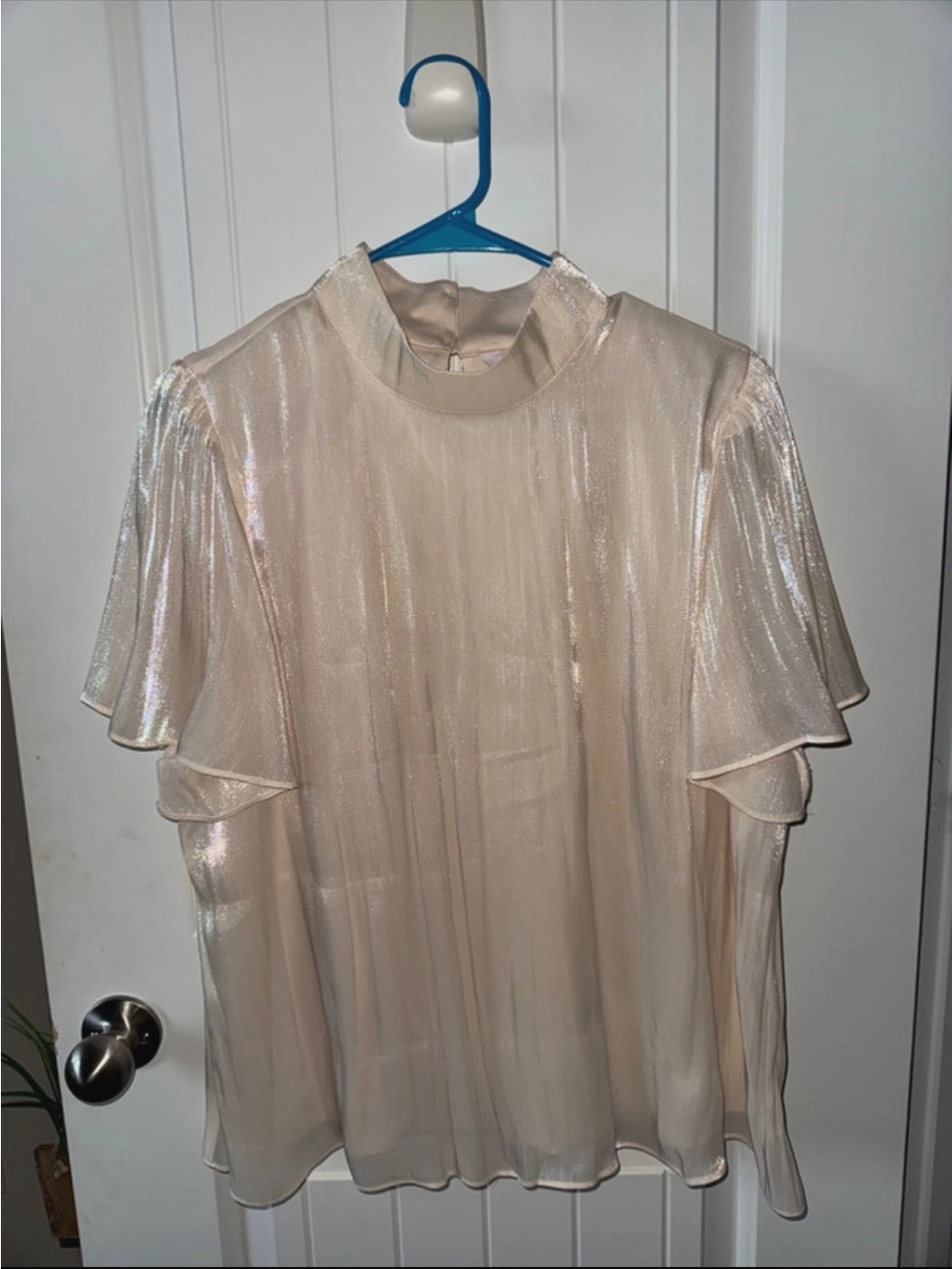 Shimmery Cream Flutter Sleeve High-Neck Blouse
